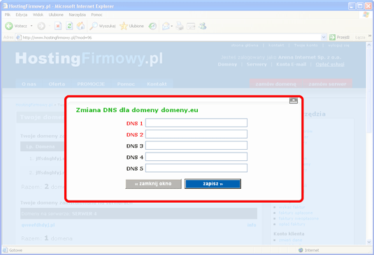  screen z formularzem dns 