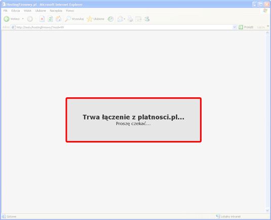  screen z płatności 